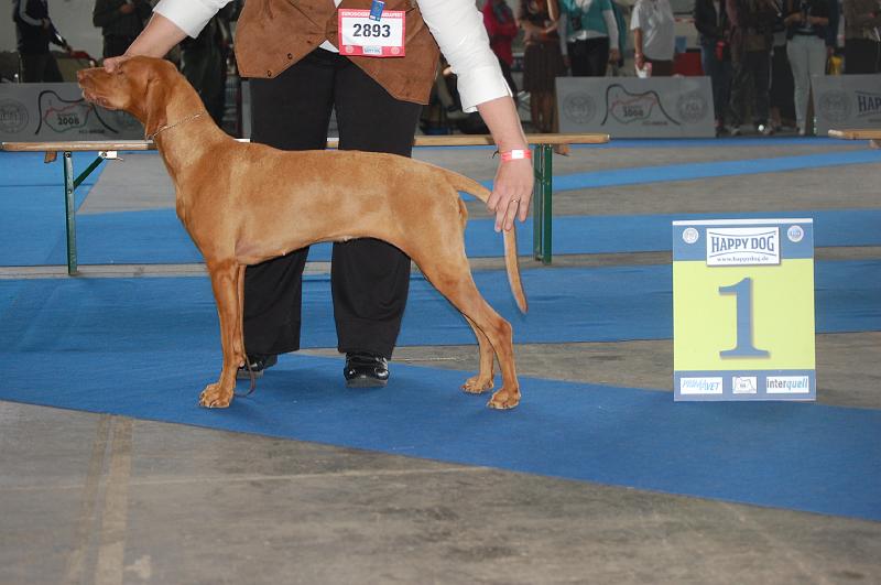 Canine Hulabaloo - CAC - II.JPG - Canine Hulabaloo - V1,CAC (pracovní)